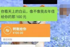 高安遇到恶意拖欠？专业追讨公司帮您解决烦恼